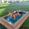 CoolDogSplashPool AlltheDogsMinusMaggie CoolDogSplashPool AlltheDogsMinusMaggie