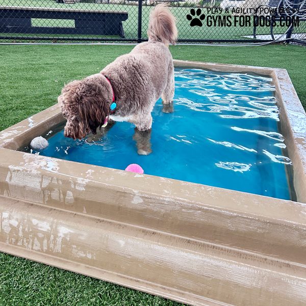 CoolDogSplashPool SingleDog