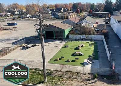 CoolDogTurf view3 scaled