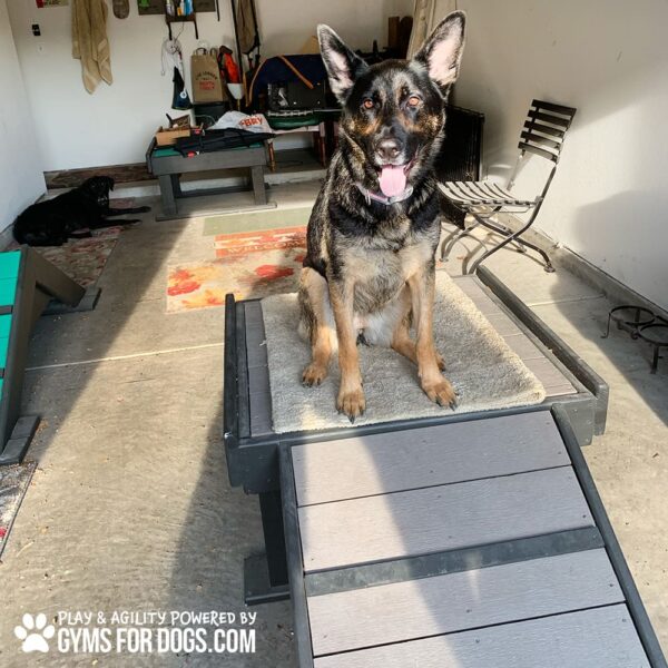 Dog Playground Equipment Bridge Climb Small 07