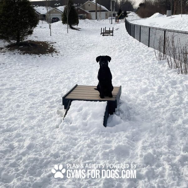 Dog Playground Equipment Bridge Climb Small 08