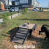 Dog Playground Equipment Bridge Climb Small 10