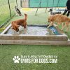 Dog Playground Equipment Cool Dog Splash Pool 037 Dog Playground Equipment Cool Dog Splash Pool 037