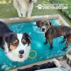 Dog Playground Equipment Cool Dog Splash Pool 064 Dog Playground Equipment Cool Dog Splash Pool 064