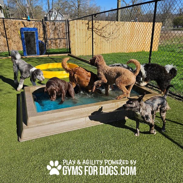 Dog Playground Equipment Cool Dog Splash Pool x1