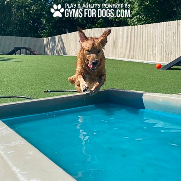Dog Playground Equipment Cool Dog Splash Pool x4