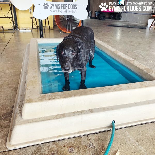 Dog Playground Equipment Cool Dog Splash Pool x5
