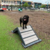 Dog Playground Equipment Mini Hill Climb LX 09