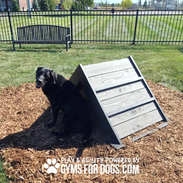 Dog Playground Equipment Mini Hill Climb LX 12