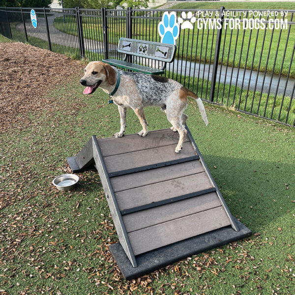 Dog Playground Equipment Mini Hill Climb LX 13