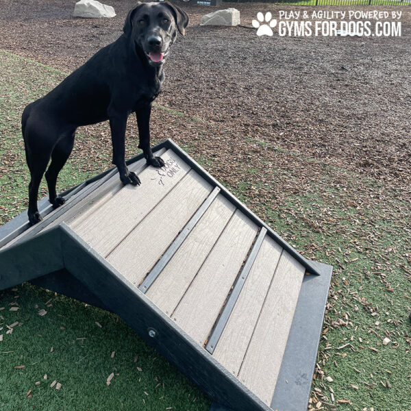 Dog Playground Equipment Mini Hill Climb LX 15