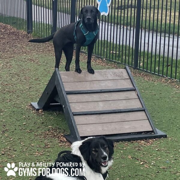 Dog Playground Equipment Mini Hill Climb LX 17