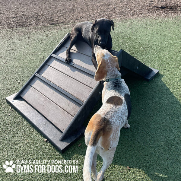 Dog Playground Equipment Mini Hill Climb LX 21