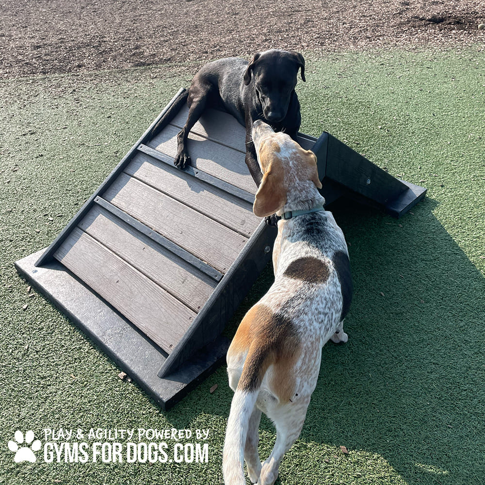 Dog Playground Equipment Mini Hill Climb LX 21
