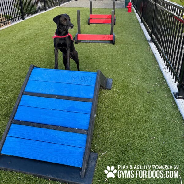 Dog Playground Equipment Mini Hill Climb LX 23