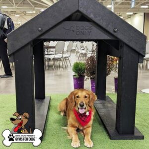 Dog Playground Equipment Tunnel House LX 04 - Gyms For Dogs Dog Playground Equipment Tunnel House LX 04