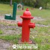 FireHydrant GymsForDogs ThermoPlasticCoating2