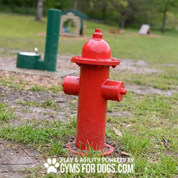 FireHydrant GymsForDogs ThermoPlasticCoating2