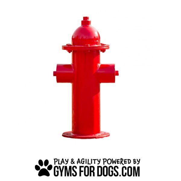 FireHydrant GymsForDogs ThermoPlasticCoating3