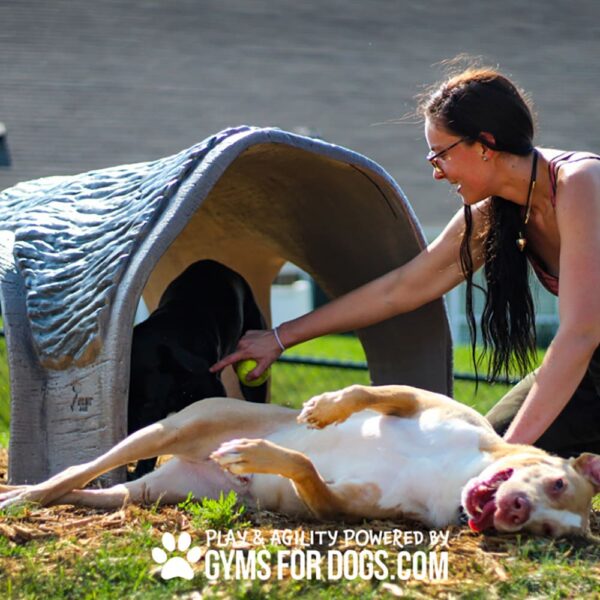 Gyms For Dogs Hammies Tunnel House LX 01