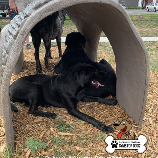 Gyms For Dogs Hammies Tunnel House LX 05