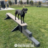 dog park equipment jump balance beam 07 - Gyms For Dogs dog park equipment jump balance beam 07