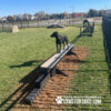 dog park equipment jump balance beam 08 - Gyms For Dogs dog park equipment jump balance beam 08