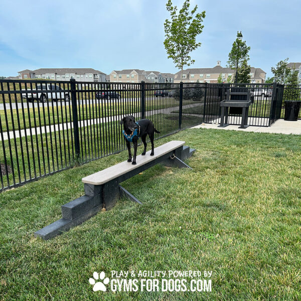 dog park equipment jump balance beam 10 - Gyms For Dogs dog park equipment jump balance beam 10