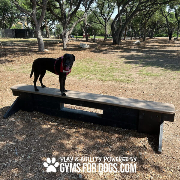 dog park equipment jump balance beam 12 - Gyms For Dogs dog park equipment jump balance beam 12