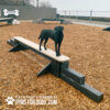 dog park equipment jump balance beam 13 - Gyms For Dogs dog park equipment jump balance beam 13