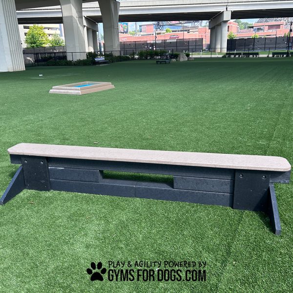 dog park equipment jump balance beam 16