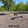 dog park equipment jump balance beam 17 dog park equipment jump balance beam 17