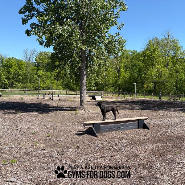 dog park equipment jump balance beam 18