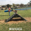dog playground equipment hill climb 10
