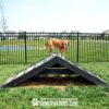 dog playground equipment hill climb 15