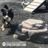 dog playground equipment luxury climbing boulder l 07 dog playground equipment luxury climbing boulder l 07