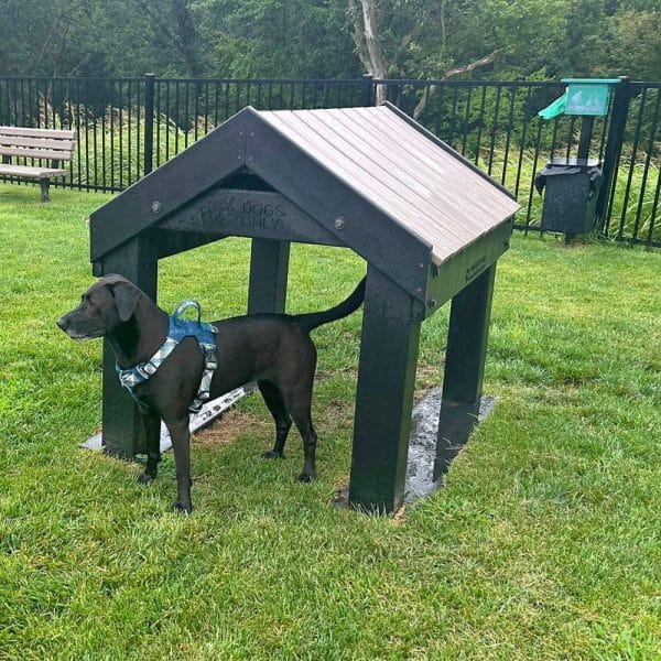 dog playground equipment tunnel house4