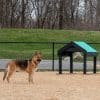 dog playground equipment tunnel house6
