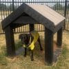 dog playground equipment tunnel house9