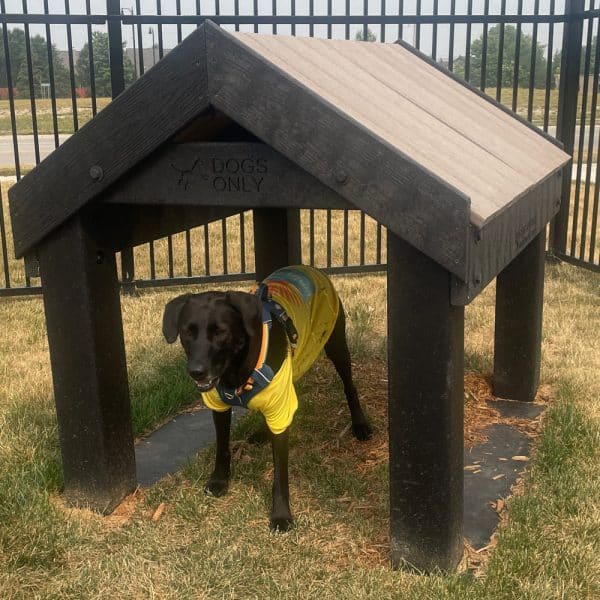 dog playground equipment tunnel house9