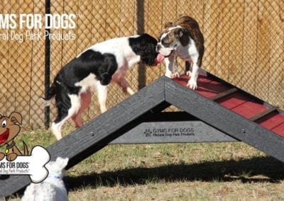 dogs using ramp