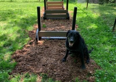 Gyms For Dogs Dog Park Products