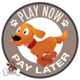 Play Now Pay Later Financing