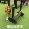 dog playground equipment jump hurdles 1