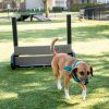 dog playground equipment jump hurdles 5