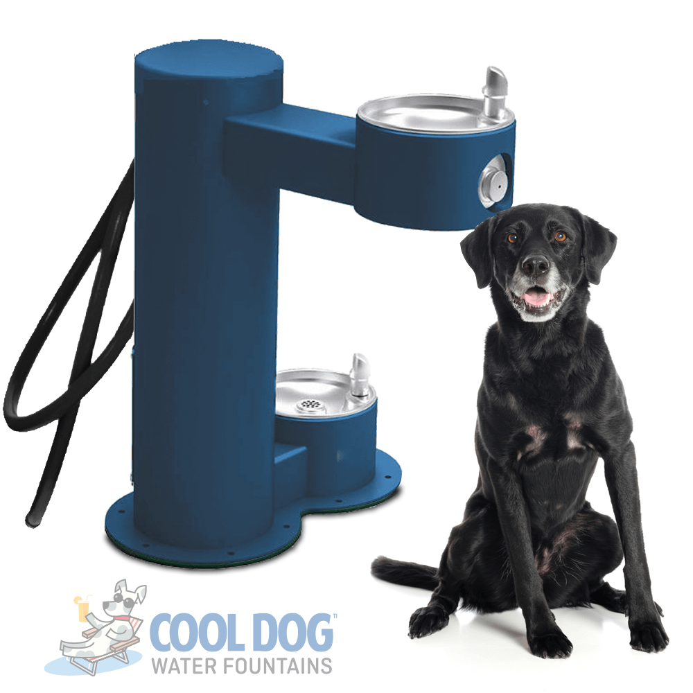 pet water drinking machine