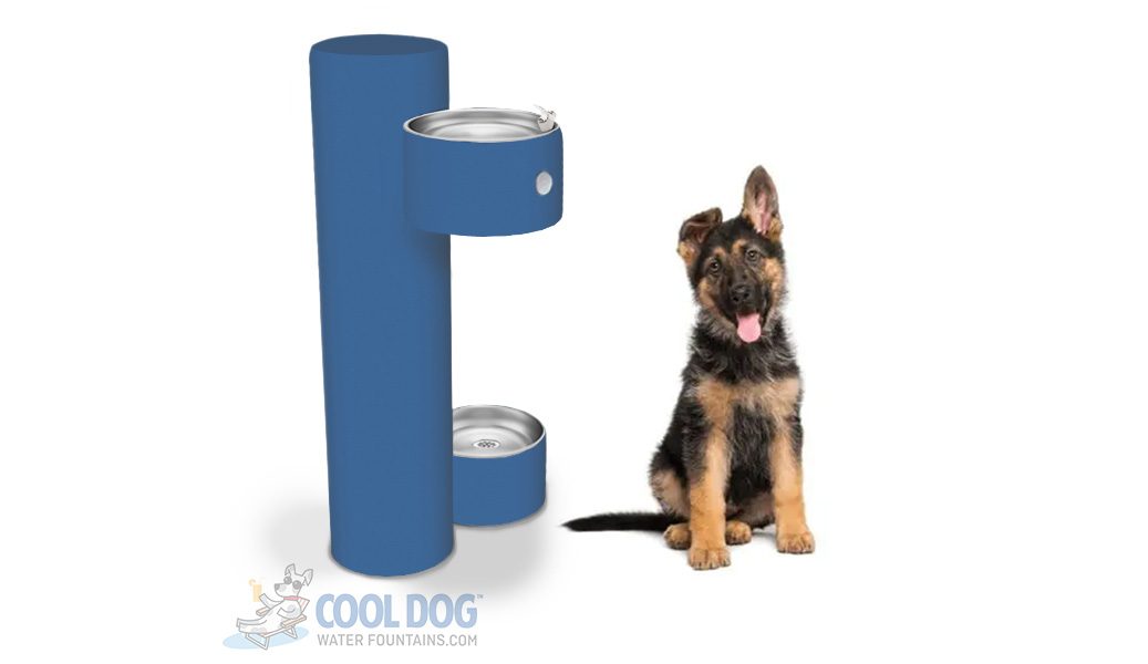 Drink, Cool™ Dog Bowl Fountain with ADA Bowl