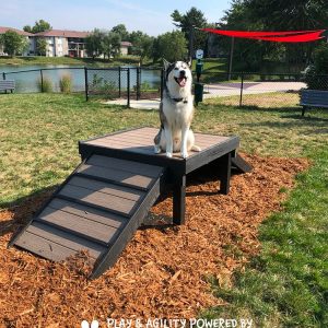 Dog Playground Equipment Bridge Climb Easy Main