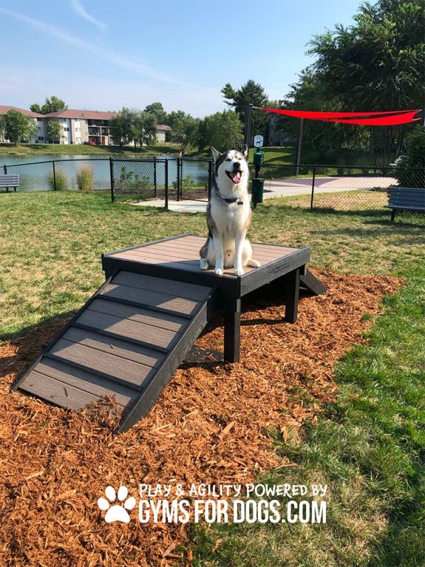 Dog Playground Equipment Bridge Climb Easy Main