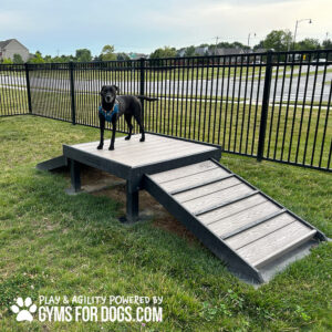 Dog Playground Equipment Bridge Climb16